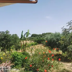  Appartamento Vacanze Baglio Sances